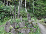 DSC00212.JPG