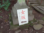 DSC00236.JPG