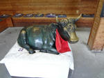 DSC00257.JPG