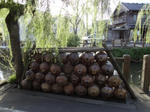 DSC00950.JPG