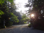 DSC00967.JPG