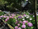 b3050319.jpeg