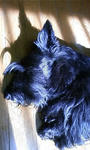 PA0_0015.JPG