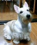 PA0_0046.JPG