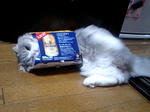20081210