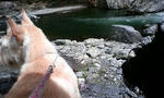 PA0_0066.JPG
