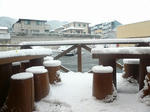 10011307.P1010904.jpg