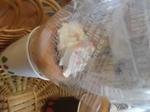 DSCF6329.JPG