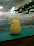 2010052101.jpg