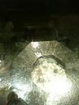 2010101501.jpg