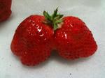 2011022001.jpg