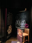 2011040505.JPG