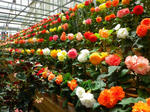 2011051303.JPG