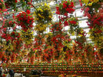 2011051304.JPG