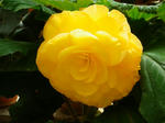 2011051305.JPG