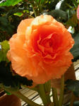 2011051306.JPG