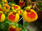 2011051308.JPG