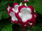 2011051309.JPG