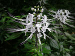 2011051310.JPG