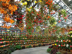 2011051313.JPG