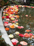 2011051314.JPG