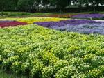 2011051315.JPG