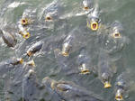 2011051317.JPG