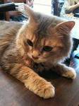 2011070203.jpg