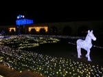 2011122702.JPG