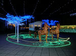 2011122704.JPG