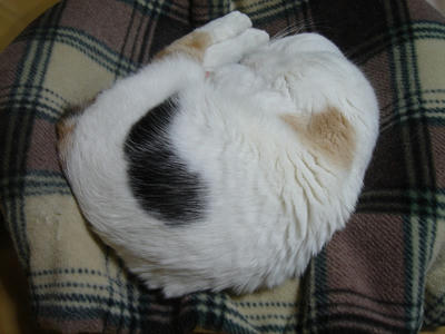 28728f95.jpg