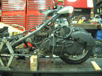 DSCF0285.JPG