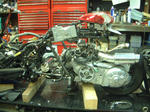 DSCF0398.JPG