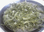 KC3O0003.JPG