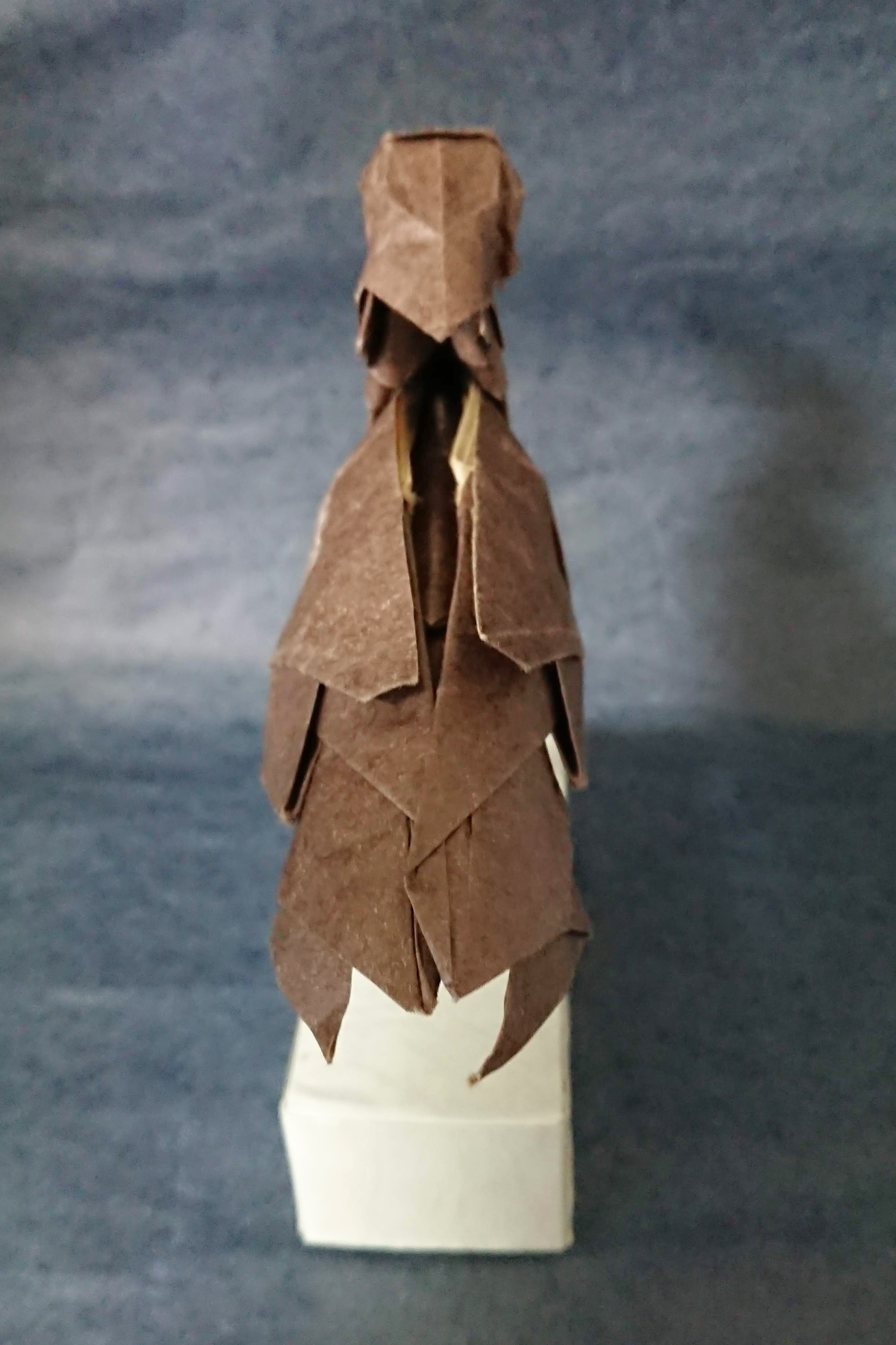 シュモクドリ後ろ2