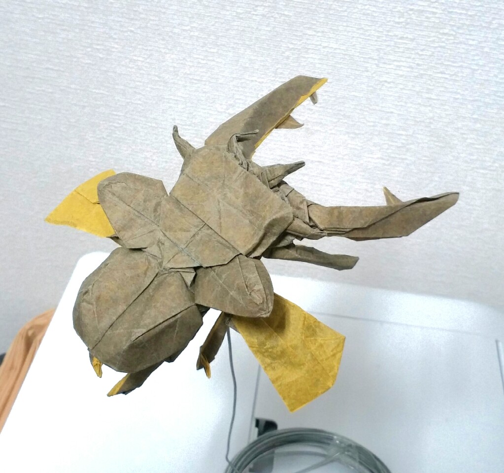 2015クワガタ