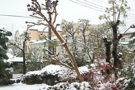 雪とK20D