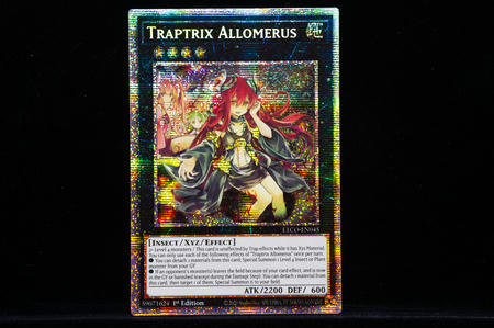 Traptrix Allomerus ETCO-EN045（USA）