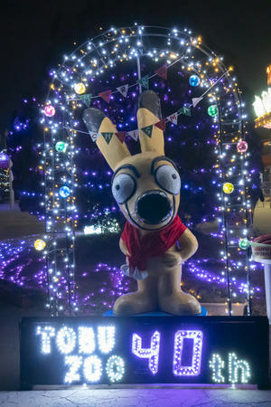 東武動物公園イルミネーション2020-2021