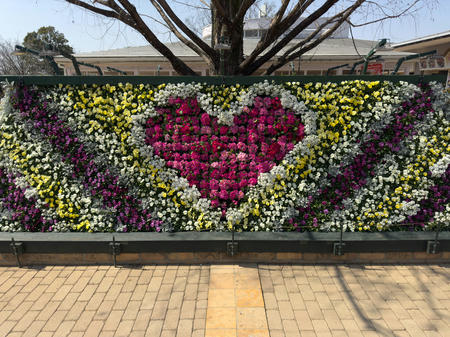 春の花まつり　2023年