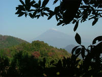 DSCF5691_s.jpg
