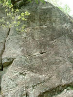 DSCF7749_s.JPG