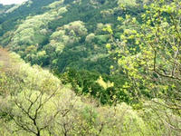 DSCF7752_s.JPG