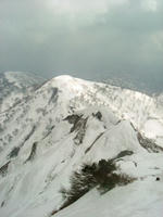 iide_day2_umanose.JPG