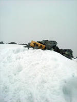 DSCF8282_s.jpg