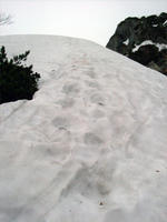 DSCF8219_s.jpg