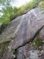 PA050423_s.JPG