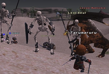 ff100528-6.jpg