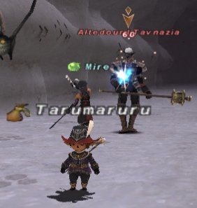 ff100803-6.jpg