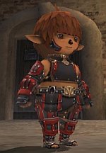 ff100820-1.jpg